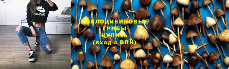 Галлюциногенные грибы Cubensis  Нарткала 